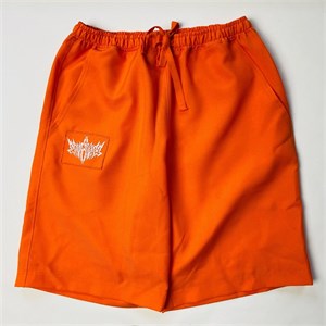 {{productViewItem.photos[photoViewList.activeNavIndex].Alt || productViewItem.photos[photoViewList.activeNavIndex].Description || 'Шорты BF WorldWide - Orange Logo'}}