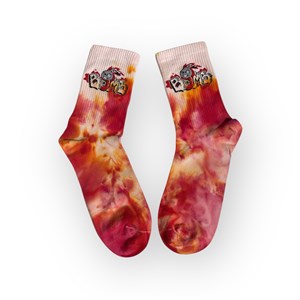 Носки БФ и Алиса Мурр - 